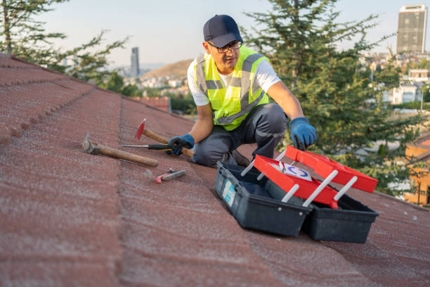 Professional Siding in Northfield, MN